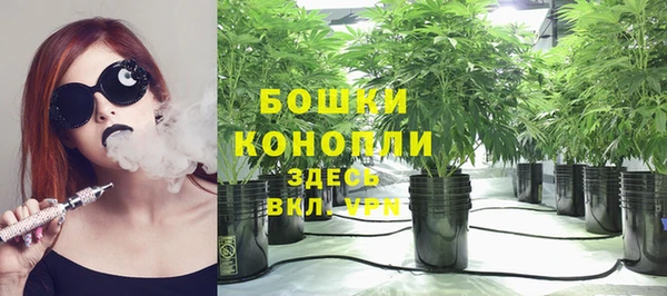 гидра Инсар