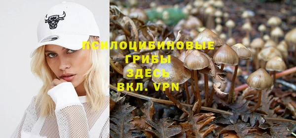 спиды Алзамай